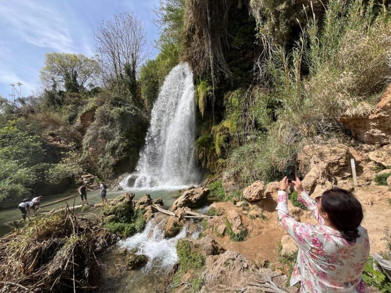 Cullera: History, Beach, and the boat trip to the Albufera - Who Is This Tour Best For?