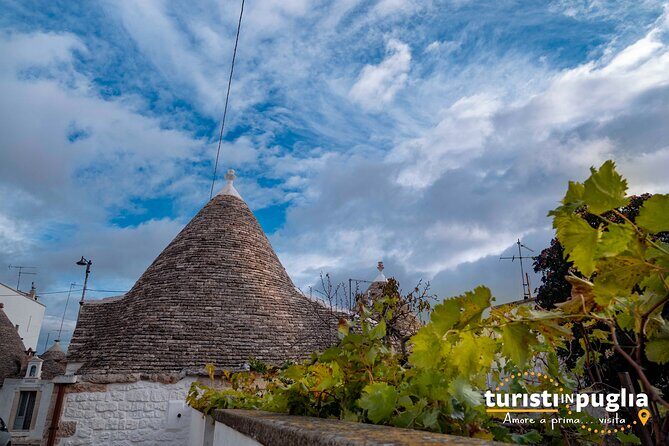 Cultural and gastronomic tour in Alberobello - Frequently Asked Questions (FAQs)
