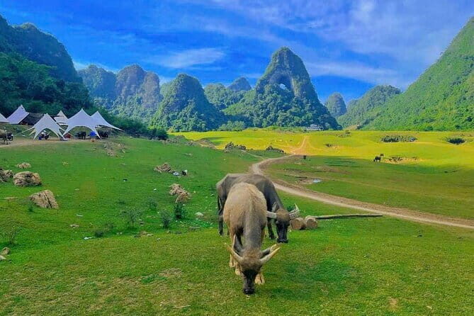 Cultural and Scenic Treasures of Cao Bng: 3 Day Expedition - Frequently Asked Questions