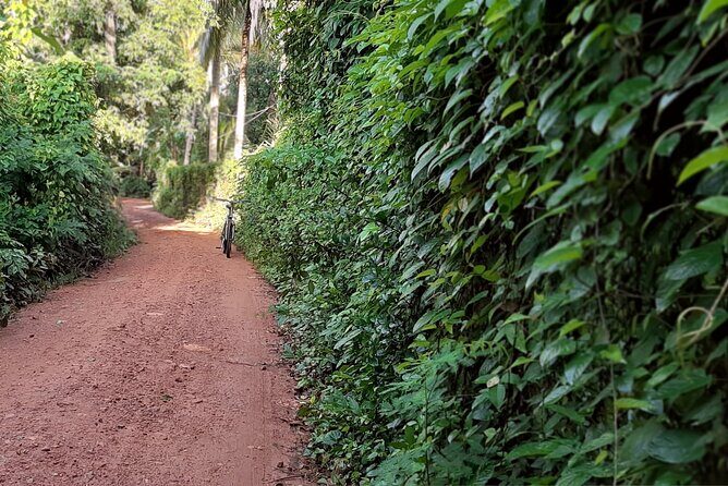 Cultural Cycling Tour - half day (8:00-11:30) - Value & Practical Tips