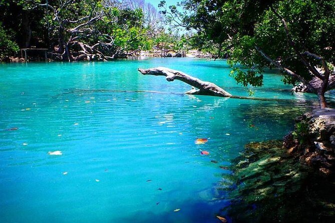 Cultural Experience & Blue Lagoon with Yumi Tours - Authenticity and Overall Value