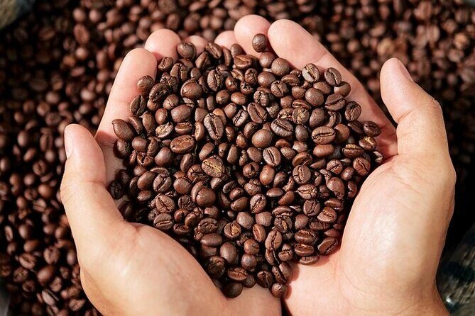 Cultural Immersion in Cacao and Coffee in the Southern Sierra of Oaxaca - Final Thoughts: Is This Tour Right for You?