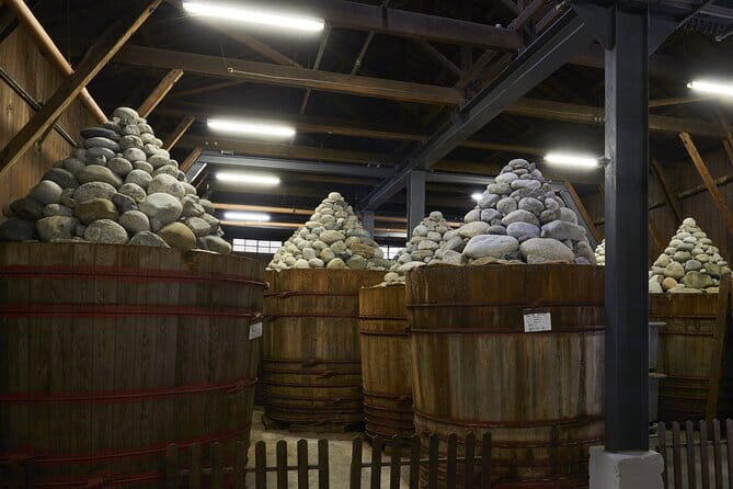 Cultural Odyssey in Okazaki Day Tour - Who Is This Tour Best For?