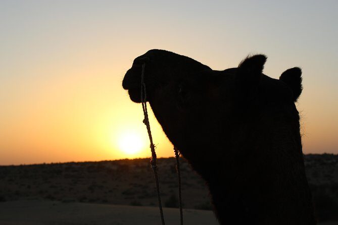 Cultural Show in Great Thar Desert - FAQ