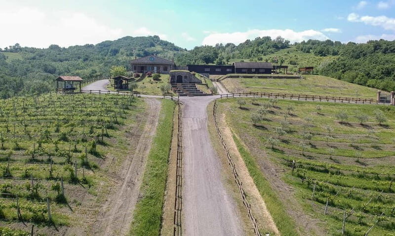 Cultural Tasting: 5 glasses with 5 food pairings - Comparing the Value: Is It Worth the Cost?