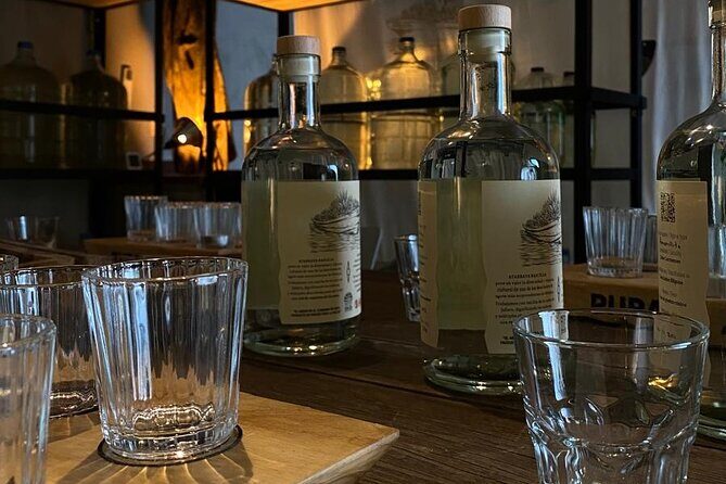 Cultural Tasting of 3 Roots in Puerto Vallarta - Who This Tour Is Best For