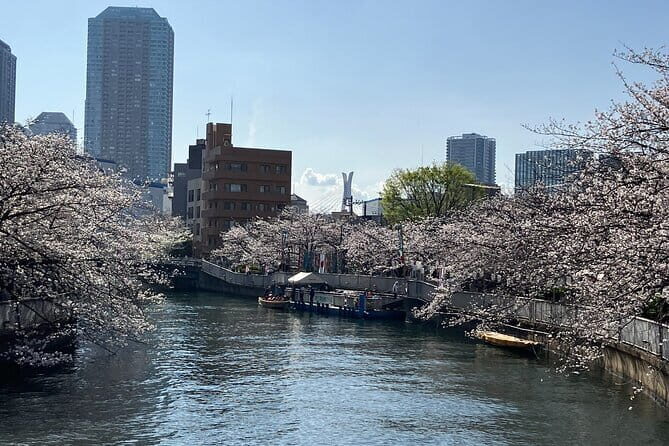 Cultural Temple Tour with a Real Local in Calm East Tokyo - Who Would Love This Tour?