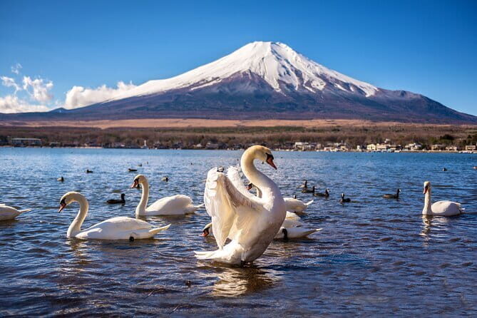 Cultural Temple Tour with a Real Local in Calm East Tokyo - FAQs