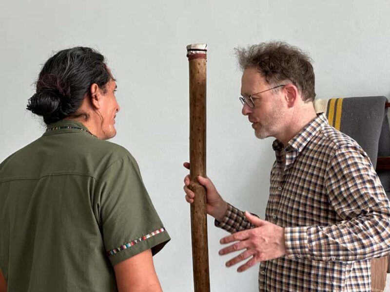 Cultural tour in Mérida's historic center - Exploring Mérida’s Cultural Highlights in a Compact Tour