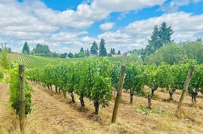 Curated Wine Country Experiences Half Day Tour - FAQ