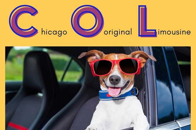 Curbside Sedan Transportation from O'Hare or Midway Airport to Downtown Chicago - Who Is This Service Best For?