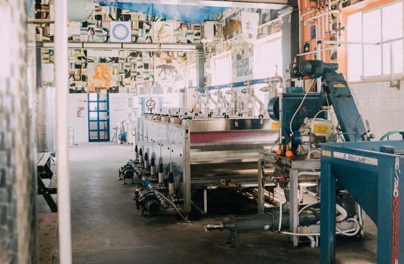 Cured Meat & Olive Oil Tasting & Visit near Pisa & Livorno - An In-Depth Look at the Experience