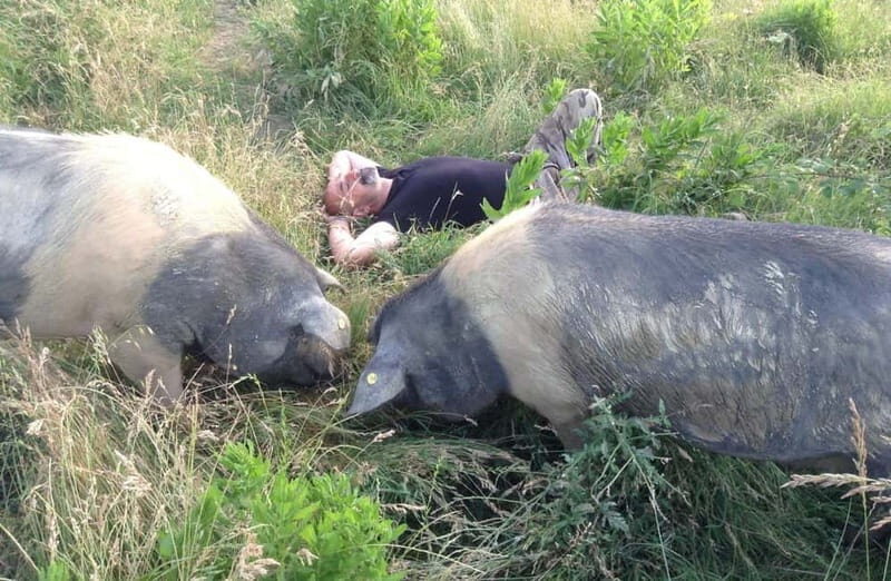 Cured Meat & Olive Oil Tasting & Visit near Pisa & Livorno - Final Thoughts