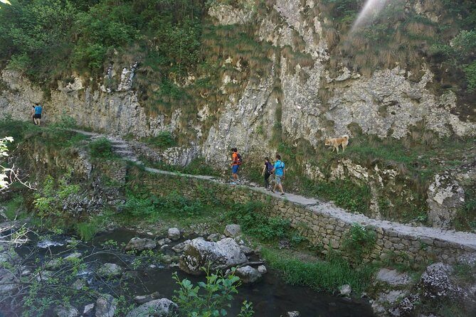 Curly Tour - Day trip from Cluj :) - FAQ