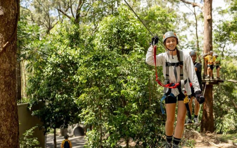 Currumbin: Treetop Challenge Adventure Park - Key Points