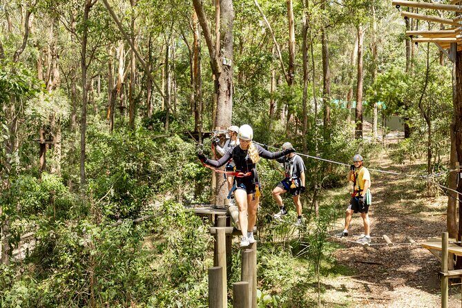 Currumbin Wildlife Sanctuary Pass + The Treetop Challenge - Why It Works