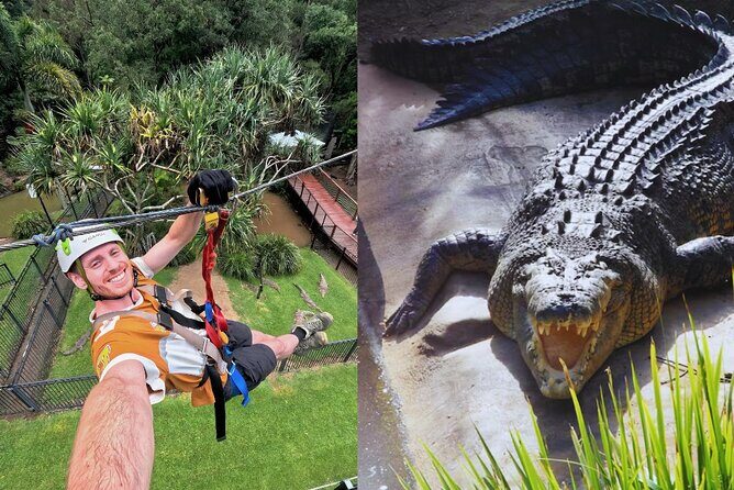 Currumbin Wildlife Sanctuary Pass + The Treetop Challenge - What Could Be Better?