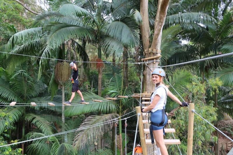 Currumbin Wildlife Sanctuary & TreeTop Challenge Combo - The Experience Breakdown