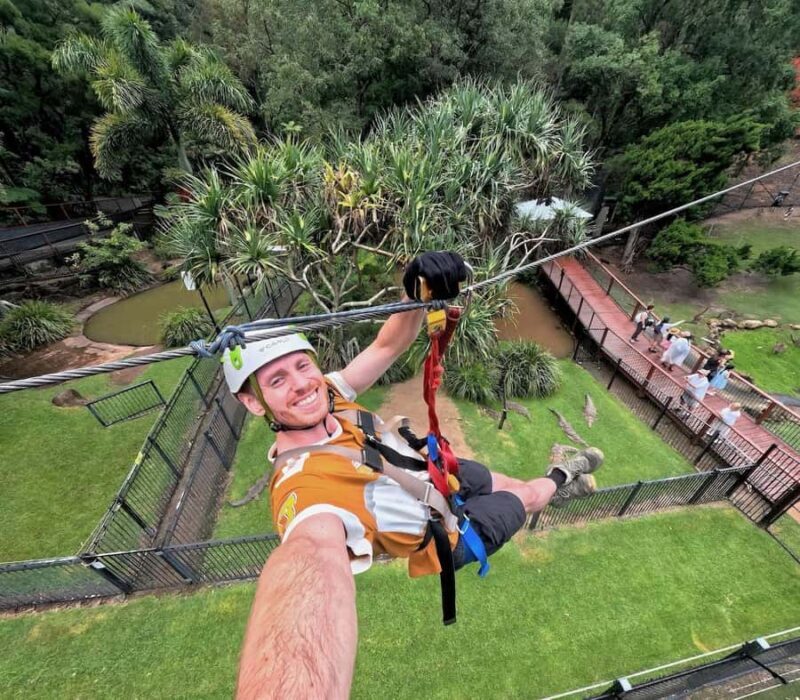 Currumbin Wildlife Sanctuary & TreeTop Challenge Combo - Authentic Encounters and Review Highlights