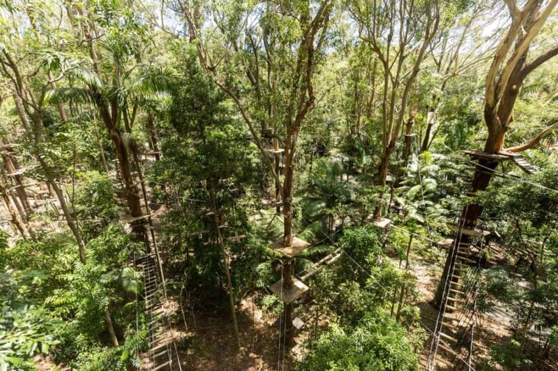 Currumbin Wildlife Sanctuary & TreeTop Challenge Combo - Who Is This Experience Best For?