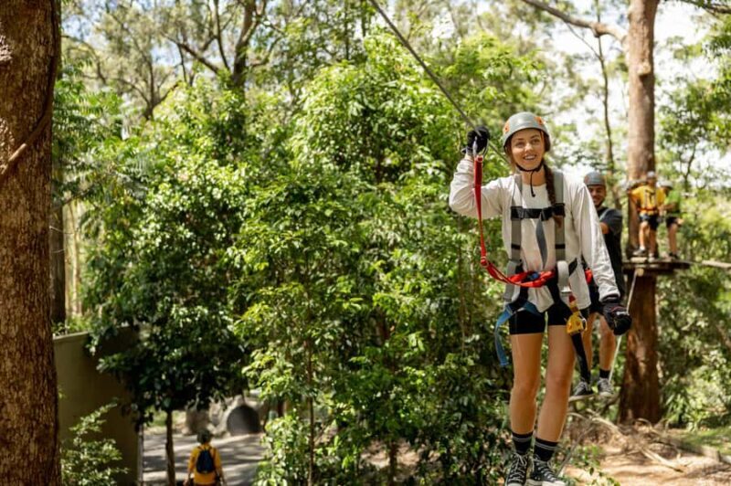Currumbin Wildlife Sanctuary & TreeTop Challenge Combo - Final Thoughts