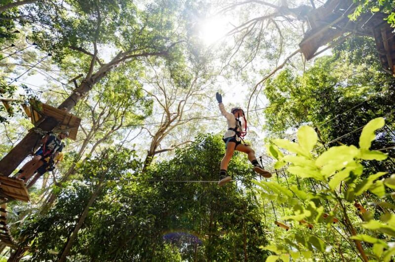 Currumbin Wildlife Sanctuary & TreeTop Challenge Combo - FAQ