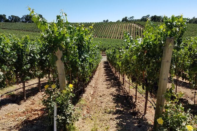 Custom 8-Hour Napa Valley Wine Tour in a Luxury Vehicle - Who Is This Tour Best For?