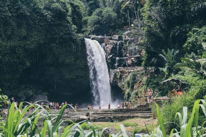 Custom Day Trip in Bali - A Deep Dive into the Custom Bali Day Trip