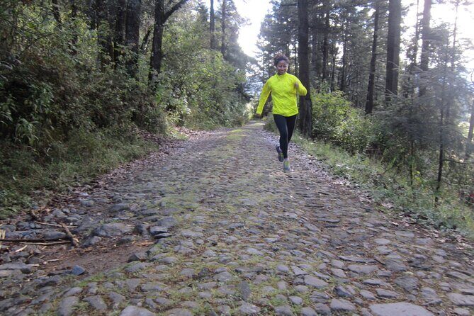 Custom Hiking in the Lions Desert - Why This Tour Stands Out