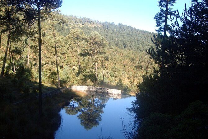 Custom Hiking in the Lions Desert - Who Should Consider This Tour?