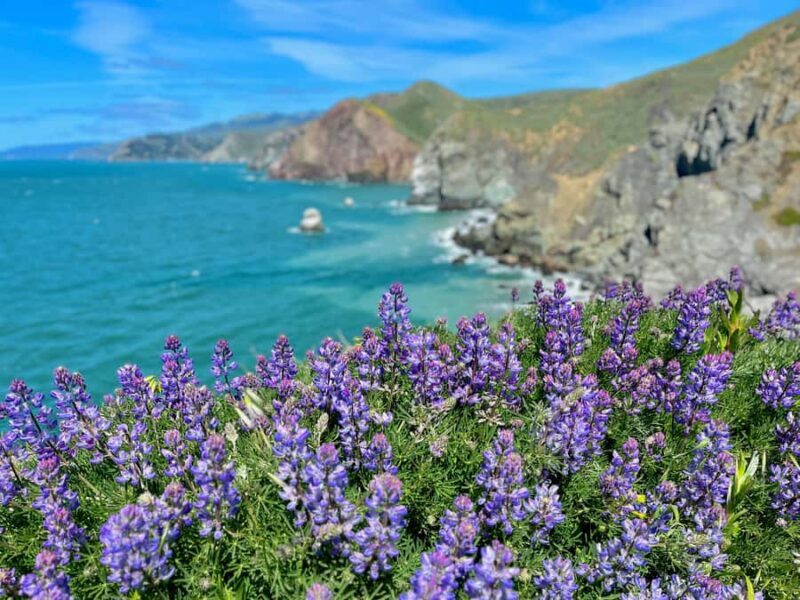 CUSTOM PHOTO ADVENTURES TO THE BAY AREA'S MOST EPIC SCENERY - Key Points