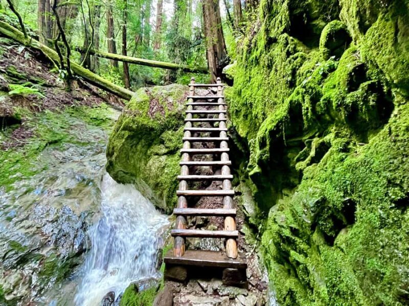 CUSTOM PHOTO ADVENTURES TO THE BAY AREA'S MOST EPIC SCENERY - In-Depth Itinerary Breakdown