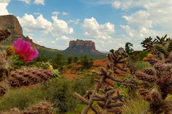 Custom Private Arizona Hiking Tour - The Sum Up: Is This Arizona Hiking Tour Right for You?