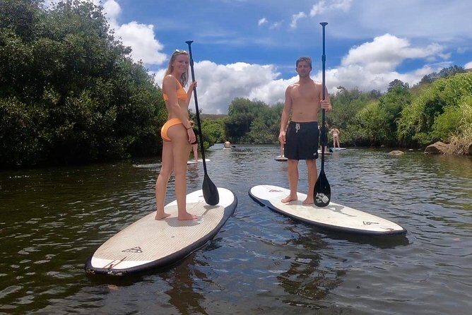 Custom Private Multi Day Tours on the island of Oahu Hawaii - Authentic Guest Insights from Reviews