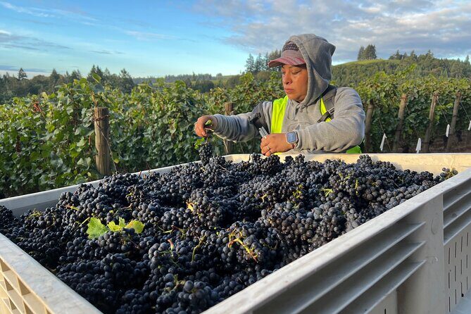 Custom Willamette Wine Tours from The Allison Inn and Spa - Practical Details: What You Need to Know