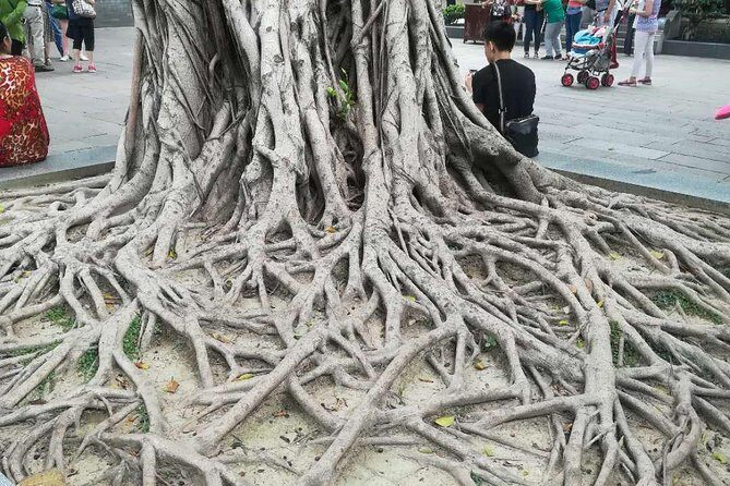 Customised Private Guangzhou City Tour with Flexible Itinerary - FAQs