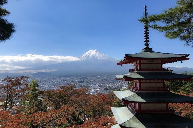 Customizable 10 Hour Private Tour from Tokyo to Mount Fuji - Practical Details & Cost Analysis