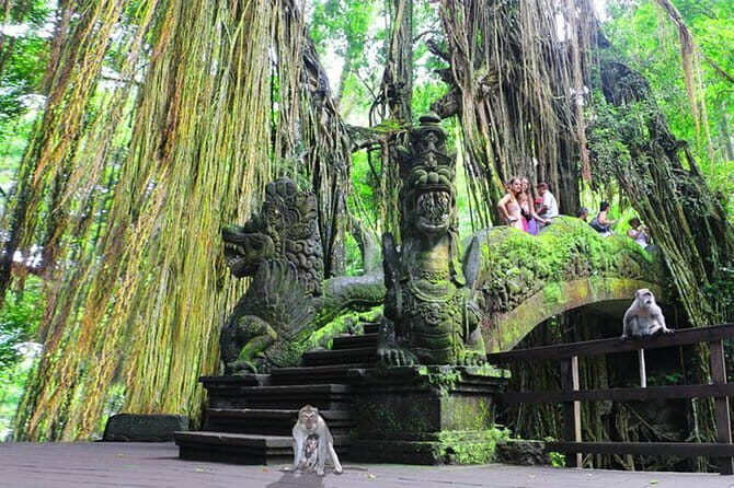 Customizable Bali 5 days Transport Package - Exploring the Customizable Bali 5 Days Transport Package: An Honest Review