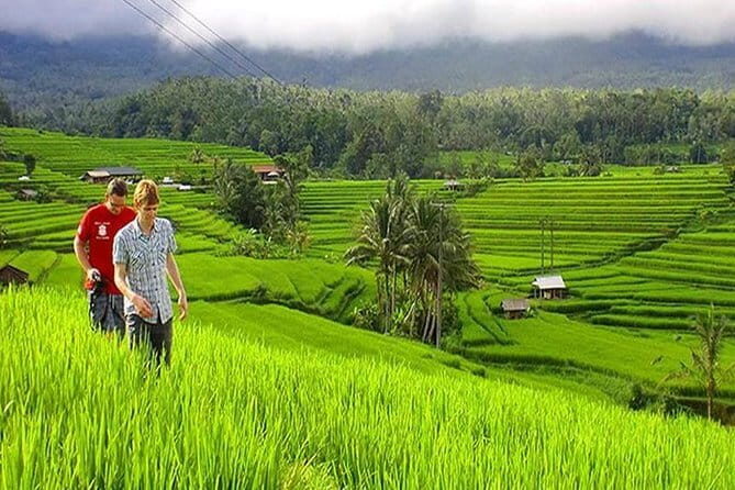 Customizable Bali 5 days Transport Package - Key Points
