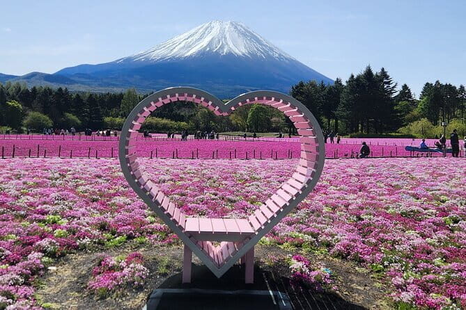 Customizable car tours in Tokyo - Who Will Love This Tour?
