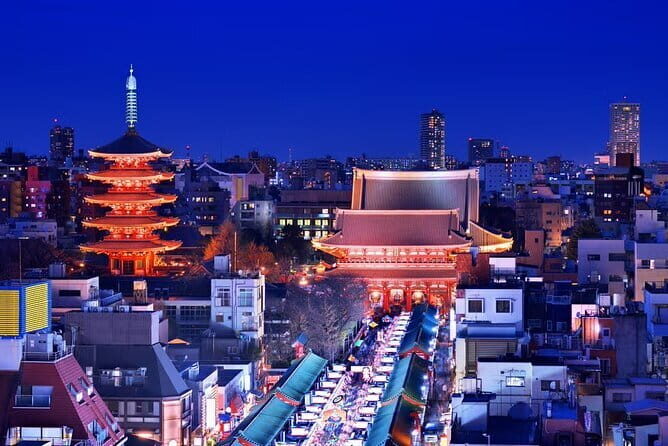 Customizable Private Tokyo Tour with an English-speaking Driver - Who Should Consider This Tour?