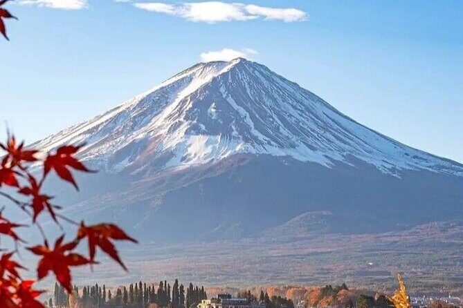 Customizable Private Tour in Mt Fuji from Tokyo by Car or Van - Final Thoughts
