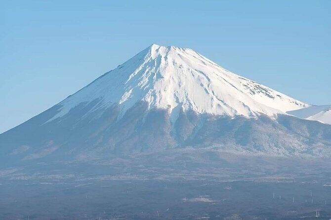 Customizable Private Tour in Mt Fuji from Tokyo by Car or Van - FAQs