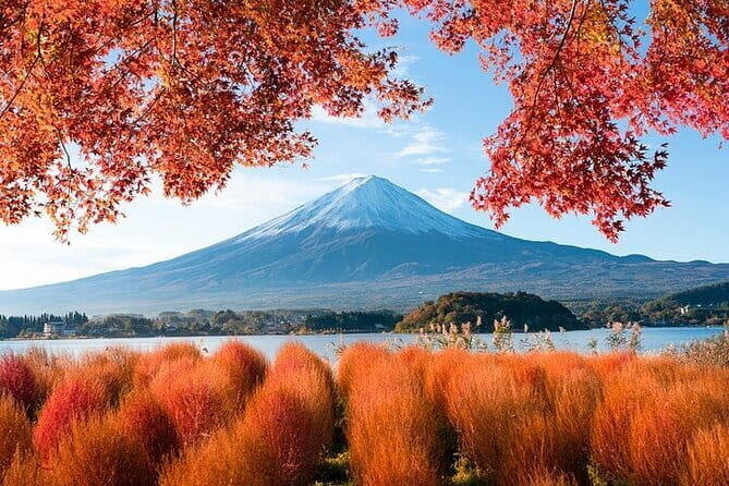 Customizable Private Tour in Mt. Fuji with Private Driver - Authentic Insights from Reviewers