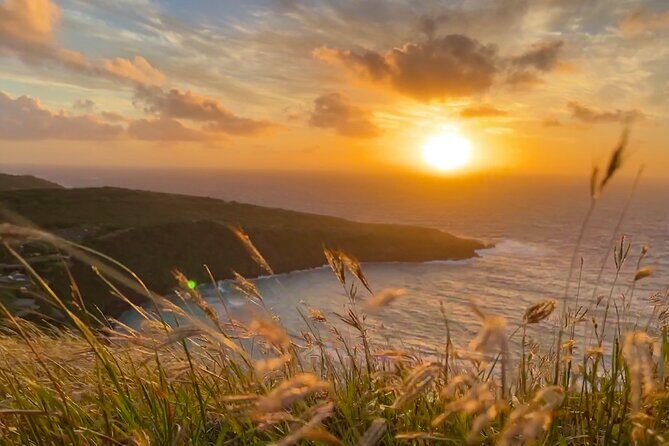 Customizable Private Tour Oahu - 1 to 6 passengers - The North Shore: Surf, Turtles, and Food Trucks