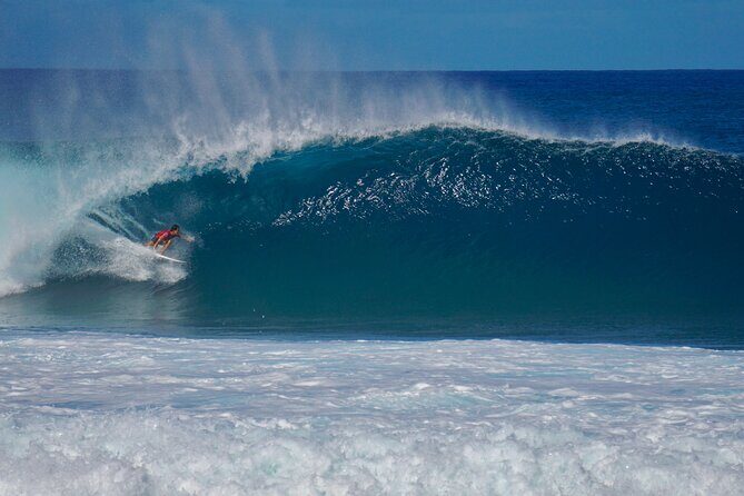 Customizable Private Tour Oahu - 1 to 6 passengers - Potential Seal Sightings and Scenic Coastal Drive