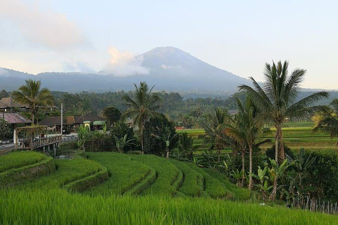 Customized Private Day Trip: Create your own tour itinerary - Who Would Love This Tour?