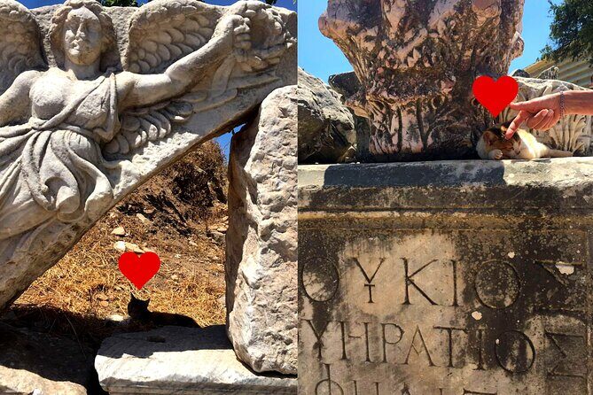 Customized Private Ephesus Tour & Farm Lunch - Key Points