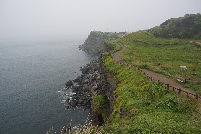 Customized Private JEJU Hiking Tour for 7 days (Mt. Hallasan and Olle Course) - Day 3: Volcanic Wonders and Forests