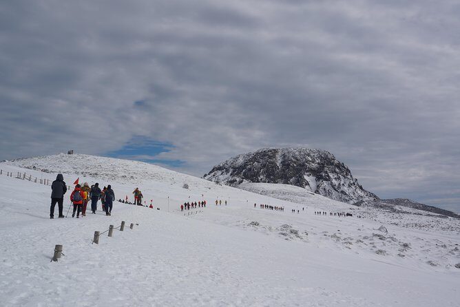 Customized Private JEJU Hiking Tour for 7 days (Mt. Hallasan and Olle Course) - Day 4: Climbing the Giants and Embracing Coastal Scenery